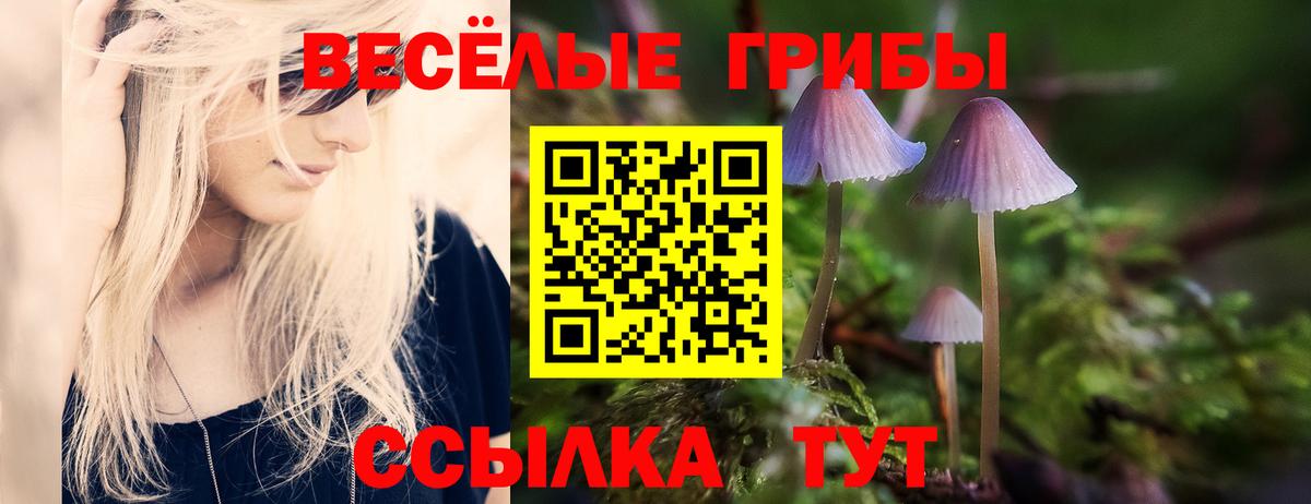 Псилоцибиновые грибы ЛСД Курчатов